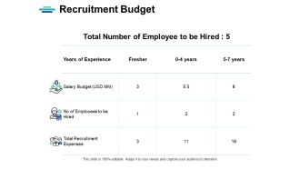 Recruitment Budget Strategy Ppt PowerPoint Presentation File Tips