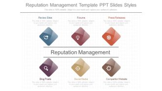 Reputation Management Template Ppt Slides Styles