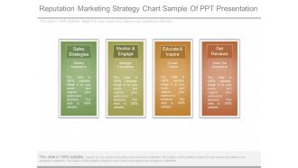 Reputation Marketing Strategy Chart Sample Of Ppt Presentation