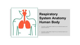 Respiratory System Anatomy Human Body Ppt PowerPoint Presentation Model Example Topics