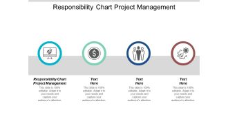 Responsibility Chart Project Management Ppt Powerpoint Presentation Show Graphics Design Cpb