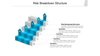 Risk Breakdown Structure Ppt PowerPoint Presentation Visual Aids Outline Cpb