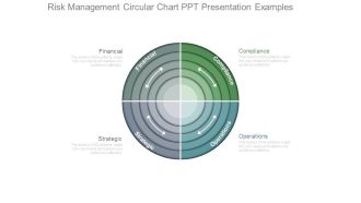 Risk Management Circular Chart Ppt Presentation Examples