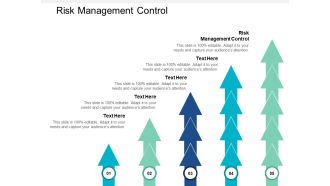 Risk Management Control Ppt PowerPoint Presentation Layouts Grid Cpb