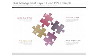 Risk Management Layout Good Ppt Example