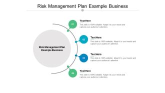 Risk Management Plan Example Business Ppt PowerPoint Presentation Outline Samples Cpb