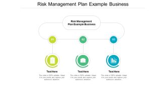 Risk Management Plan Example Business Ppt PowerPoint Presentation Portfolio Elements Cpb