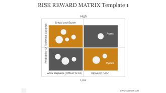 Risk Reward Matrix Template 1 Ppt PowerPoint Presentation Rules