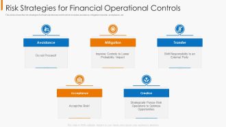 Risk Strategies For Financial Operational Controls Guidelines PDF