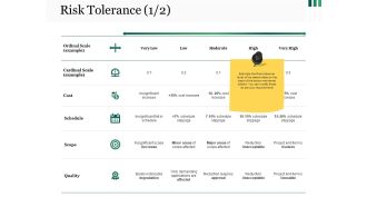 Risk Tolerance Template 1 Ppt PowerPoint Presentation Model Objects