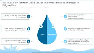 Risks Involved In Fomfarm Digital Service Implementation And Strategies To Mitigate Elements PDF