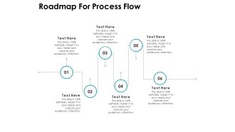 Roadmap For Process Flow Ppt PowerPoint Presentation Layouts Slide