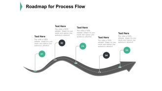 Roadmap For Process Flow Ppt PowerPoint Presentation Outline Layouts