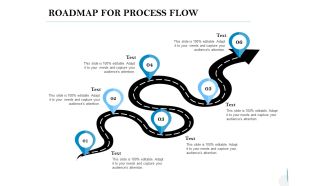 Roadmap For Process Flow Ppt PowerPoint Presentation Show Professional