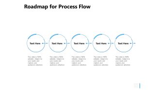 Roadmap For Process Flow Ppt PowerPoint Presentation Show Slides