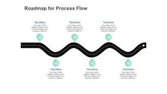 Roadmap For Process Flow Ppt PowerPoint Presentation Summary Background Designs