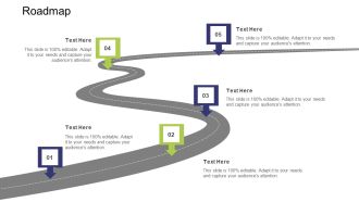 Roadmap Ppt Portfolio Outline PDF