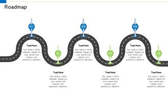Roadmap Professional PDF