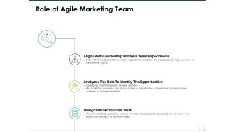 Role Of Agile Marketing Team Ppt PowerPoint Presentation Professional Graphics Design