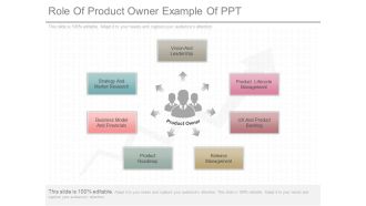 Role Of Product Owner Example Of Ppt