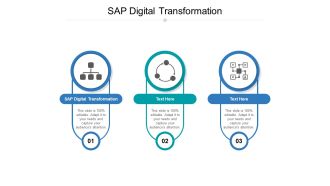 SAP Digital Transformation Ppt PowerPoint Presentation Styles Example Cpb