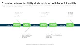 3 Months Business Feasibility Study Roadmap With Financial Viability Infographics PDF