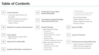 SRM Strategy Table Of Contents Demonstration PDF