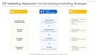 STP Marketing Assessment For Developing Marketing Strategies Guidelines PDF