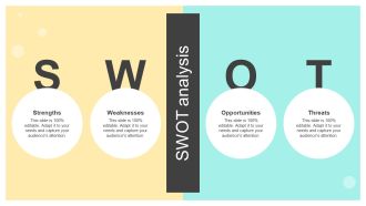 SWOT Analysis Online And Offline Brand Promotion Techniques Download PDF