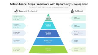 Sales Channel Steps Framework With Opportunity Development Ppt PowerPoint Presentation Professional Structure PDF