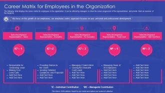 Sales Development Representative Playbook Career Matrix For Employees In The Organization Introduction PDF