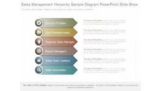 Sales Management Hierarchy Sample Diagram Powerpoint Slide Show