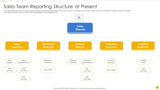 Sales Management Playbook Sales Team Reporting Structure At Present Introduction PDF