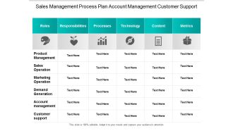 Sales Management Process Plan Account Management Customer Support Ppt Powerpoint Presentation Summary Design Templates