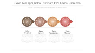 Sales Manager Sales President Ppt Slides Examples