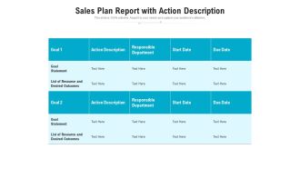 Sales Plan Report With Action Description Ppt PowerPoint Presentation Portfolio Infographic Template PDF