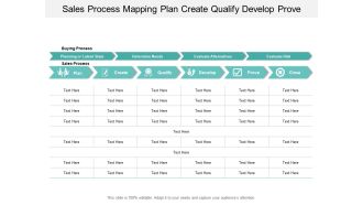 Sales Process Mapping Plan Create Qualify Develop Prove Ppt PowerPoint Presentation Outline Format