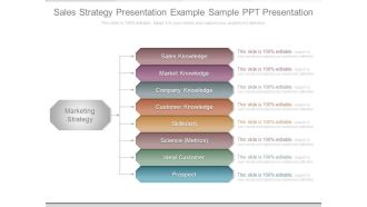 Sales Strategy Presentation Example Sample Ppt Presentation