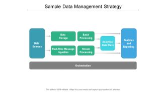 Sample Data Management Strategy Ppt PowerPoint Presentation Infographic Template Template