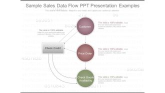 Sample Sales Data Flow Ppt Presentation Examples