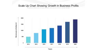 Scale Up Chart Showing Growth In Business Profits Ppt PowerPoint Presentation File Example PDF