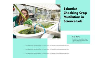 Scientist Checking Crop Mutilation In Science Lab Ppt PowerPoint Presentation Portfolio Slides PDF