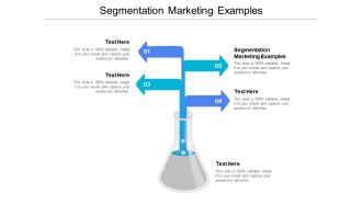 Segmentation Marketing Examples Ppt PowerPoint Presentation Professional Example Cpb