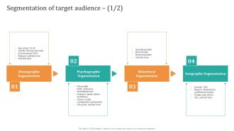 Segmentation Of Target Audience Graphics PDF