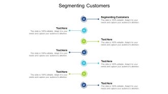 Segmenting Customers Ppt PowerPoint Presentation Portfolio Example File Cpb