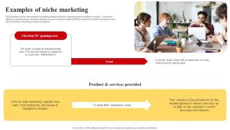Selecting And Developing An Effective Target Market Strategy Examples Of Niche Marketing Pictures PDF