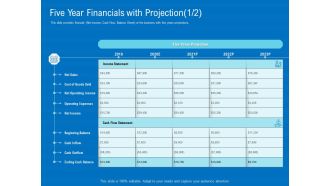 Series B Funding For Startup Capitalization Five Year Financials With Projection Sales Infographics PDF