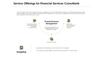 Service Offerings For Financial Services Consultants Ppt PowerPoint Presentation Infographic Template Background