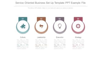 Service Oriented Business Set Up Template Ppt Example File