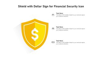Shield With Dollar Sign For Financial Security Icon Ppt PowerPoint Presentation File Professional PDF